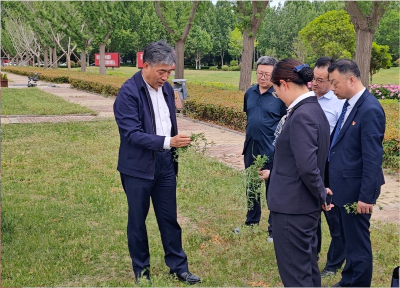 威廉希尔足球官网